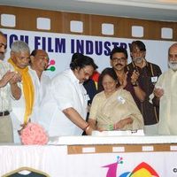 Celebs at Telugu Film Industry Celebrates 80 Years pictures | Picture 76493